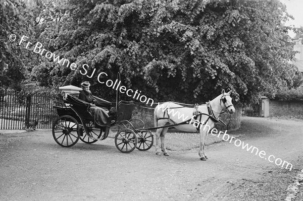 MRS FRANK LILLIS WITH MARY IN PHAETON